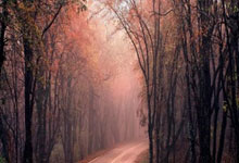 开云体育官方网站-狭路相逢勇者胜！大连一方血性对决恒大中超巅峰夜引爆滨城