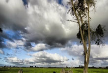 开云体育APP下载-格拉纳达深陷连败泥沼！球迷心碎背后的三剂解药