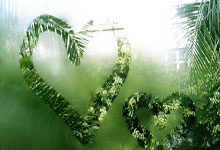 开云体育app-运球顽拼是第一，如何韧毅果胜手