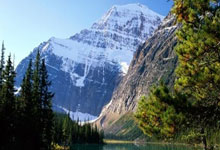 -帕尔梅拉斯焦点战役引爆球迷期待