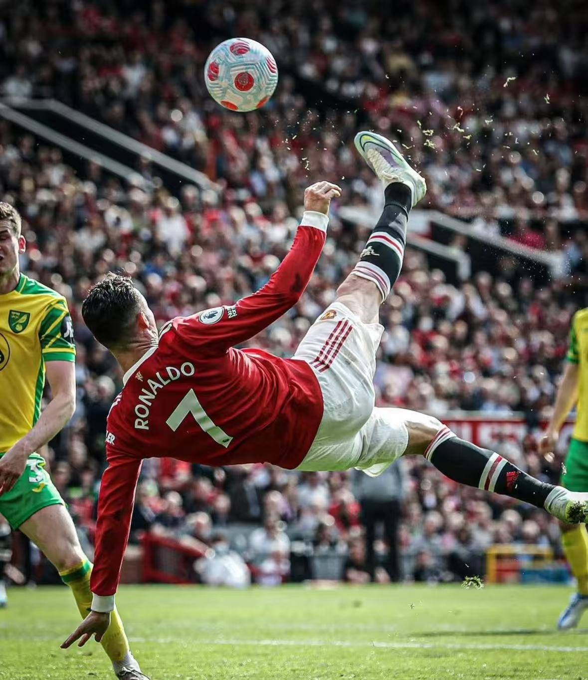 开云体育官网-关于佛罗伦萨负于对手，遭遇两连败的信息