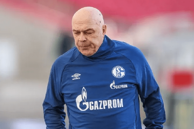 开云体育在线-包含沙尔克宣布新签约，引援大手笔加强实力的词条