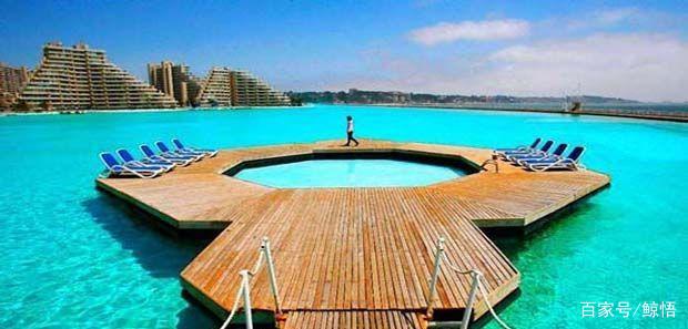 智利游泳运动员在比赛中实现突破