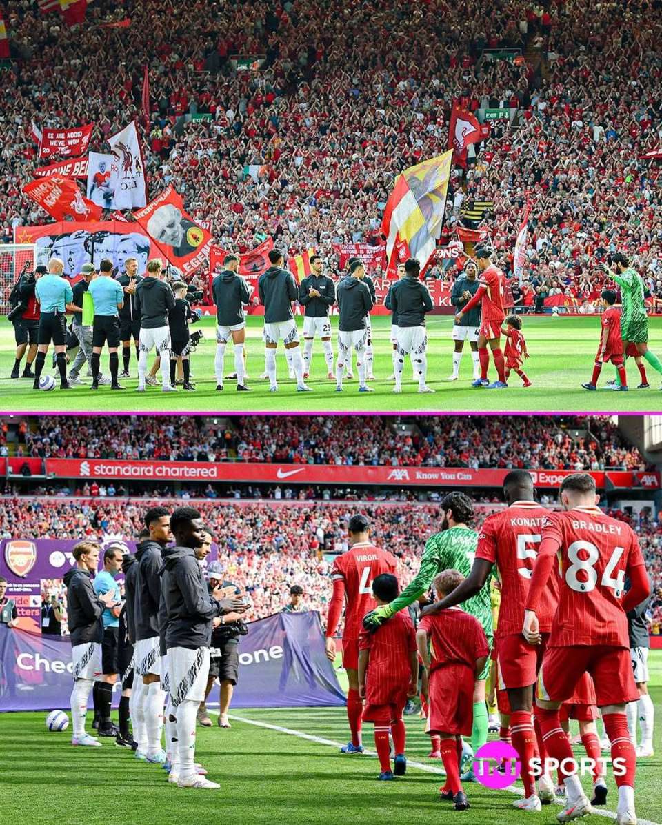 关于球队战术风格大变，球员适应迅速引人注目的信息