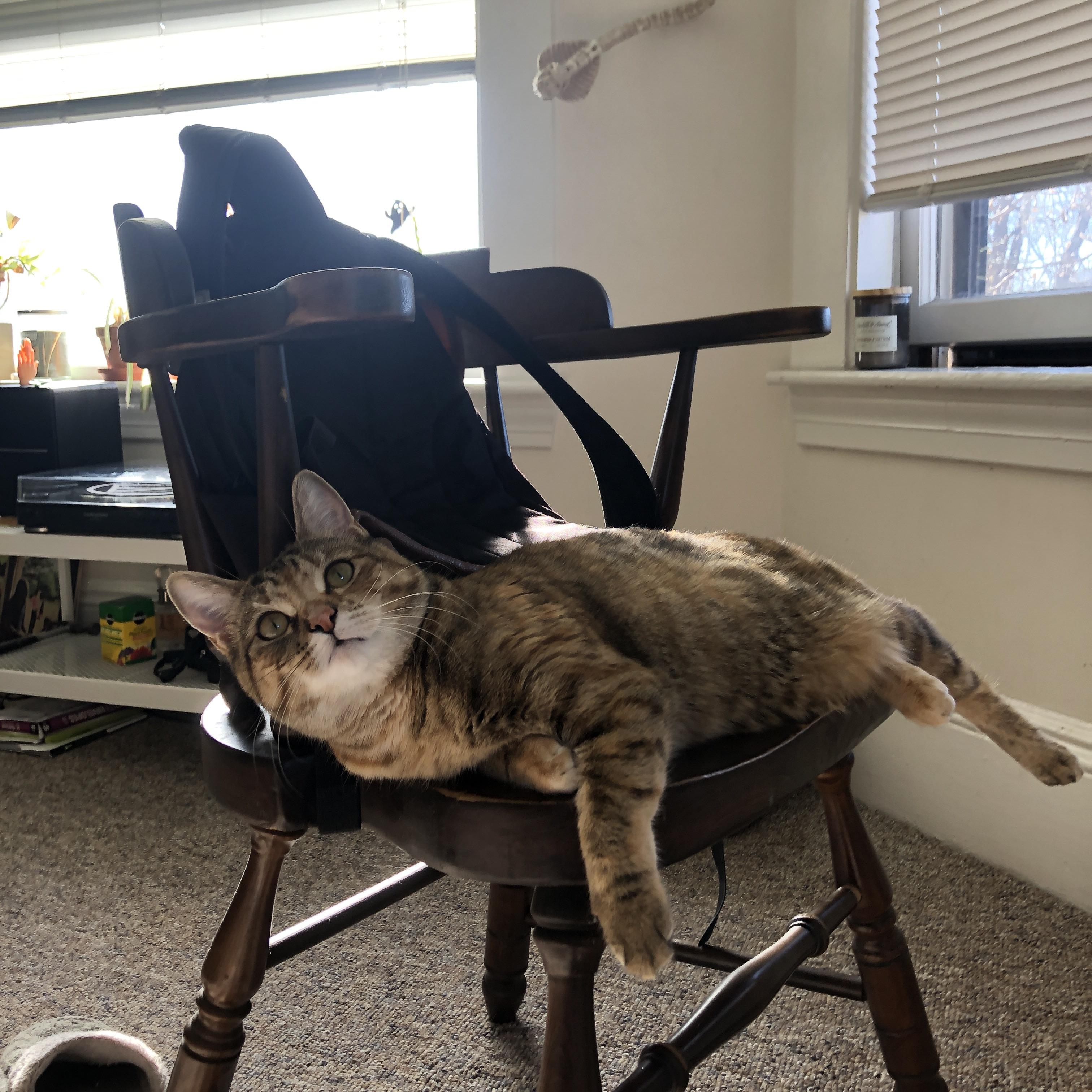 开云下载-NBA季后赛焦点战与利物浦强压挪威，体育世界的激情与战略