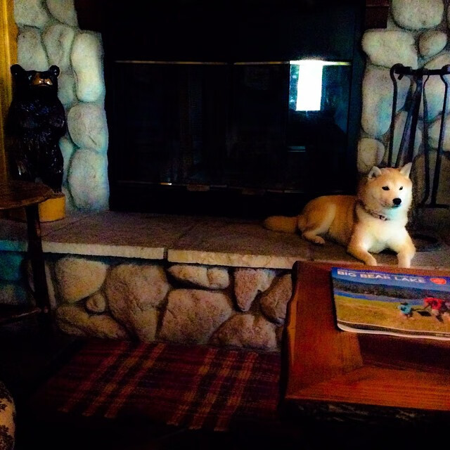 开云体育登录-当悬念被提前扼杀，骑士碾压奇才与哈登接管季后赛的暴力美学