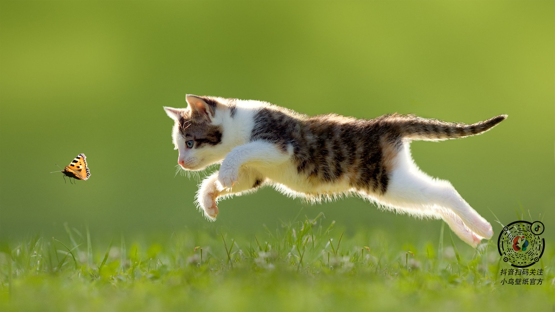 范弗利特统治全场,山西队力克76人创历史性胜利