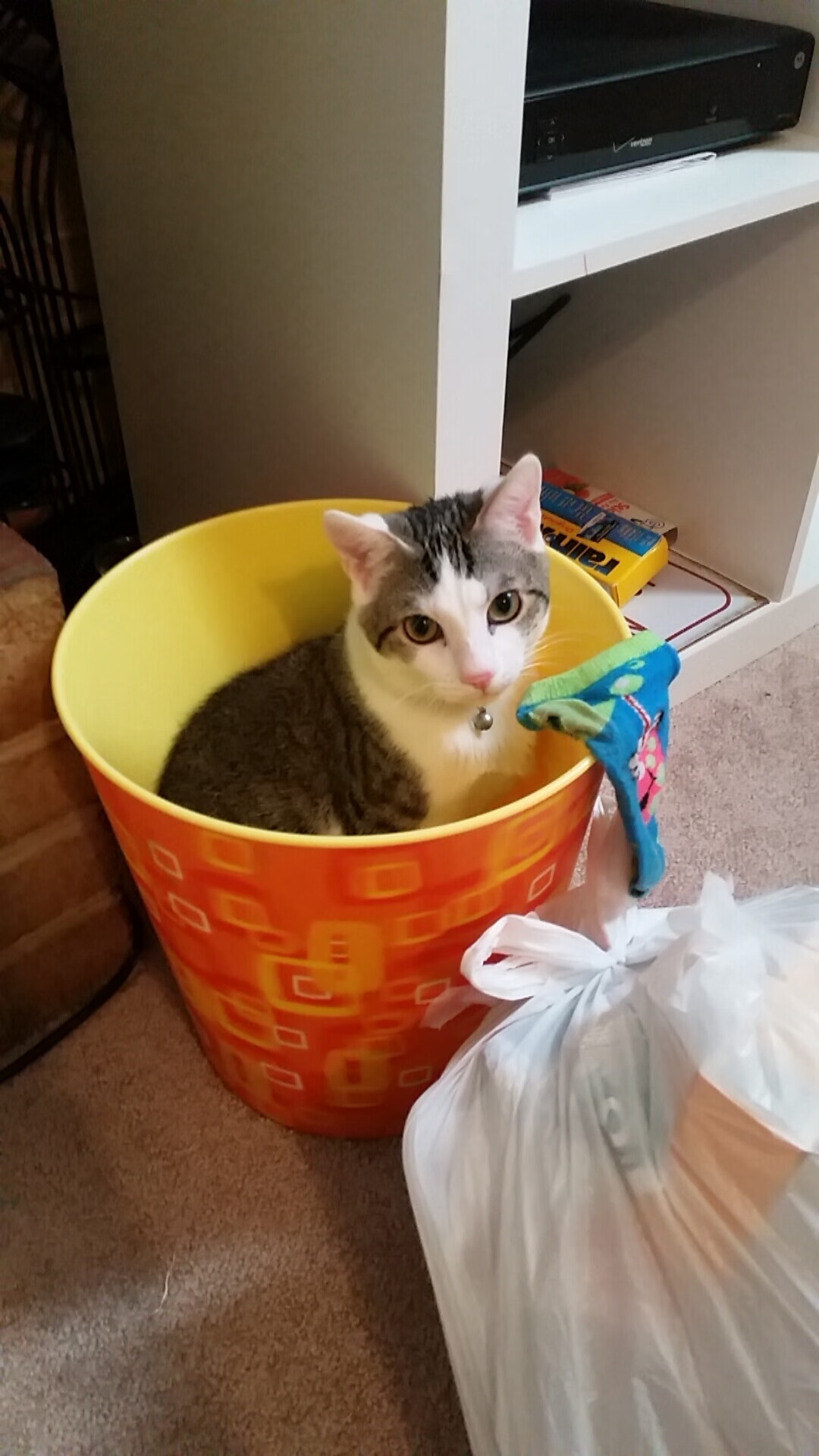 钢铁意志与天赋的胜利，哈弗茨一锤定音助德国险胜克罗地亚，迈出争冠关键一步