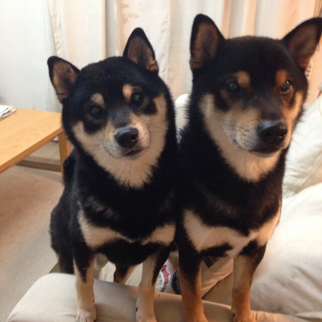 绿茵场与硬木地板的交响,西甲国家德比焦点战与爵士争冠战胜出76人的体育盛宴