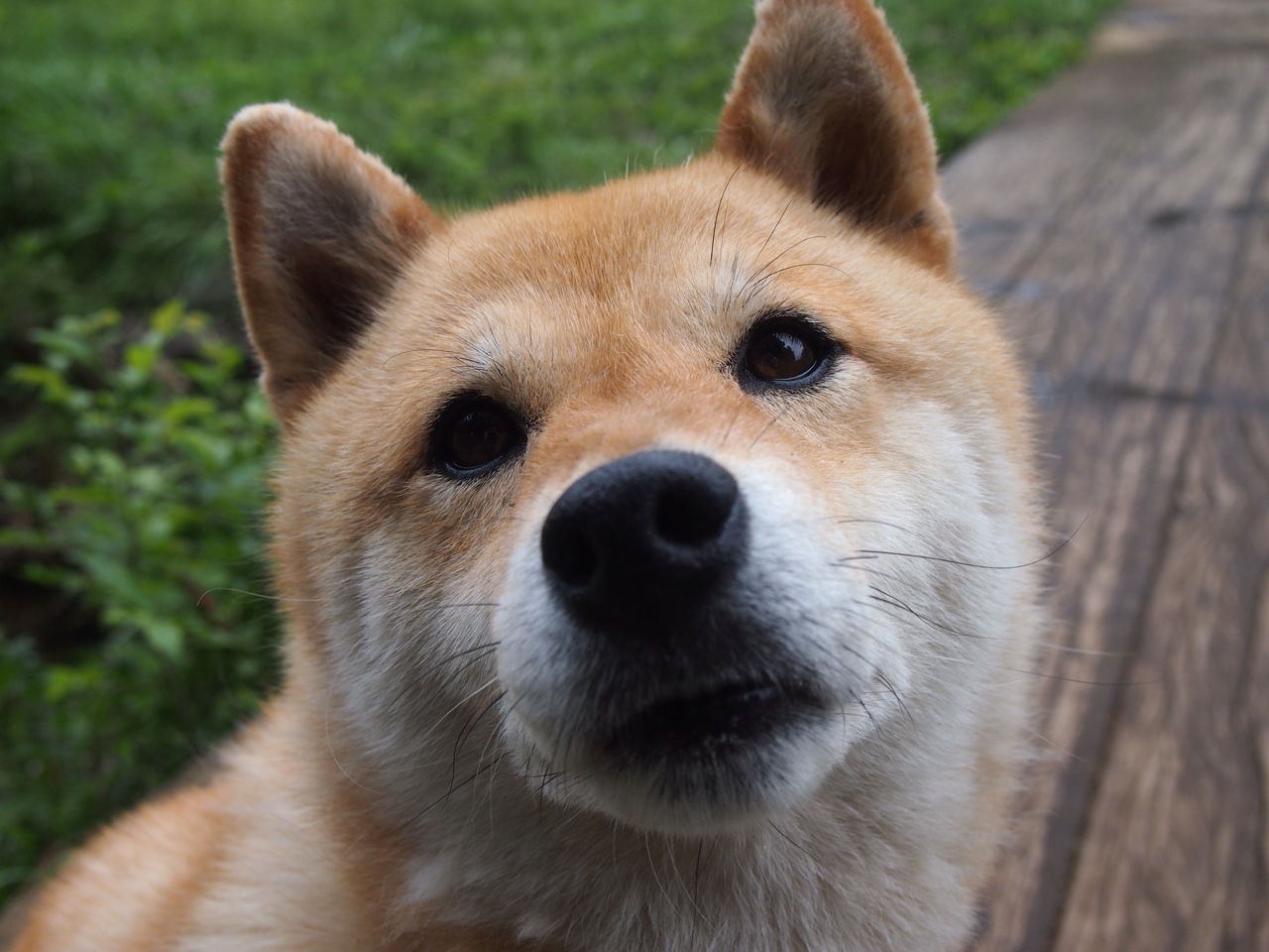 拉什福德绝杀闪耀,贝蒂斯欧战封王终结国米三冠梦