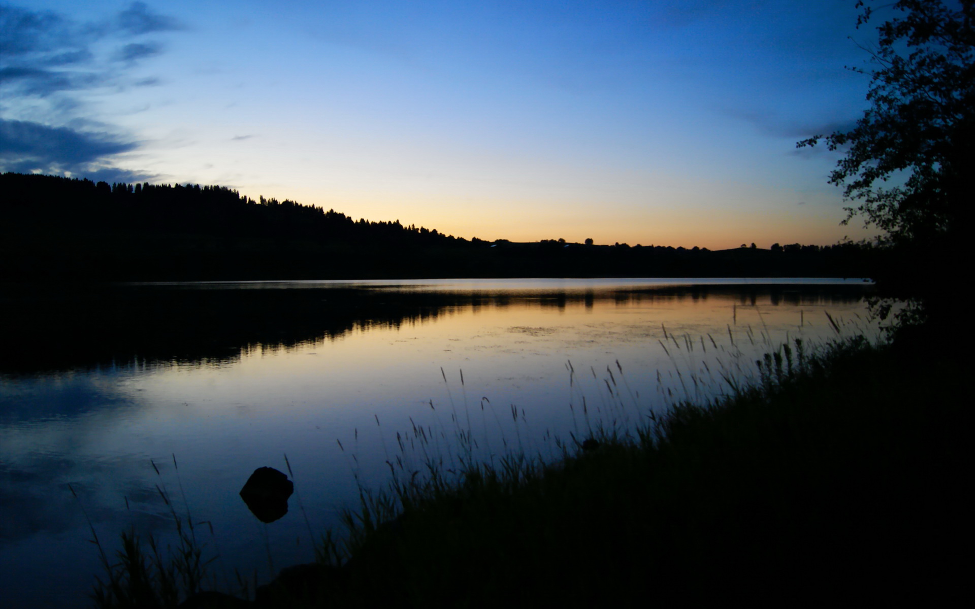 弗拉霍维奇孤星闪耀，阿根廷锋线群收割斑马军团