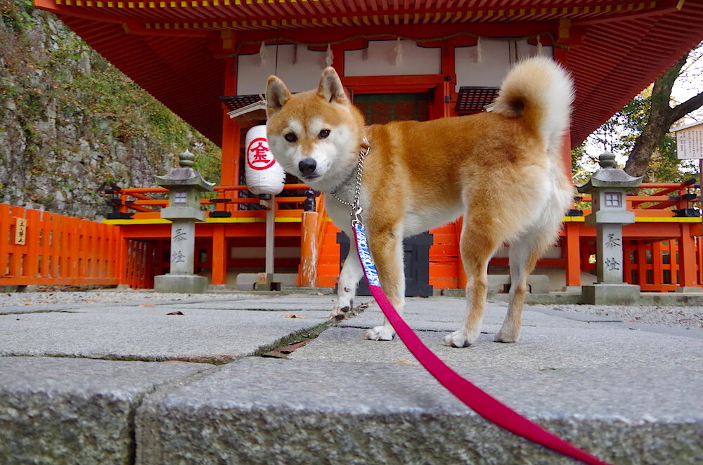 开云体育登录-比利亚雷亚尔焦点战，布雷默用统治级表现证明何谓防线基石