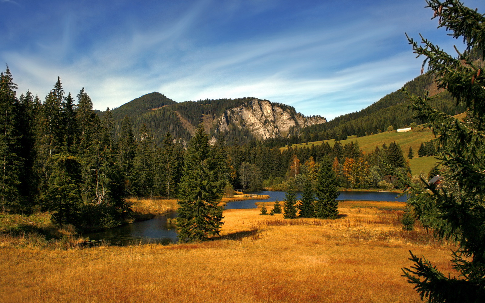 黄黑铁壁锁南美,一锤定音看C罗—当多特蒙德哲学遇上乌拉圭狂想