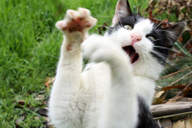 开云下载-夜幕下的国家德比，欧文如锋刃般持续制造杀伤