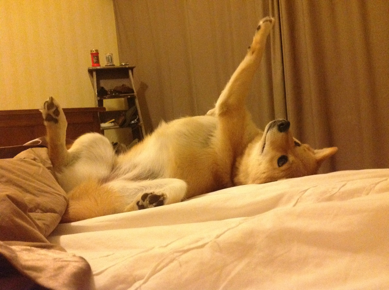 绝杀之光，小贾伦一球定乾坤，美加墨世界杯开启历史新纪元