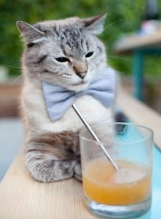 浓眉擎天柱，奥运前哨战之夜，他定义了何为全程高能输出