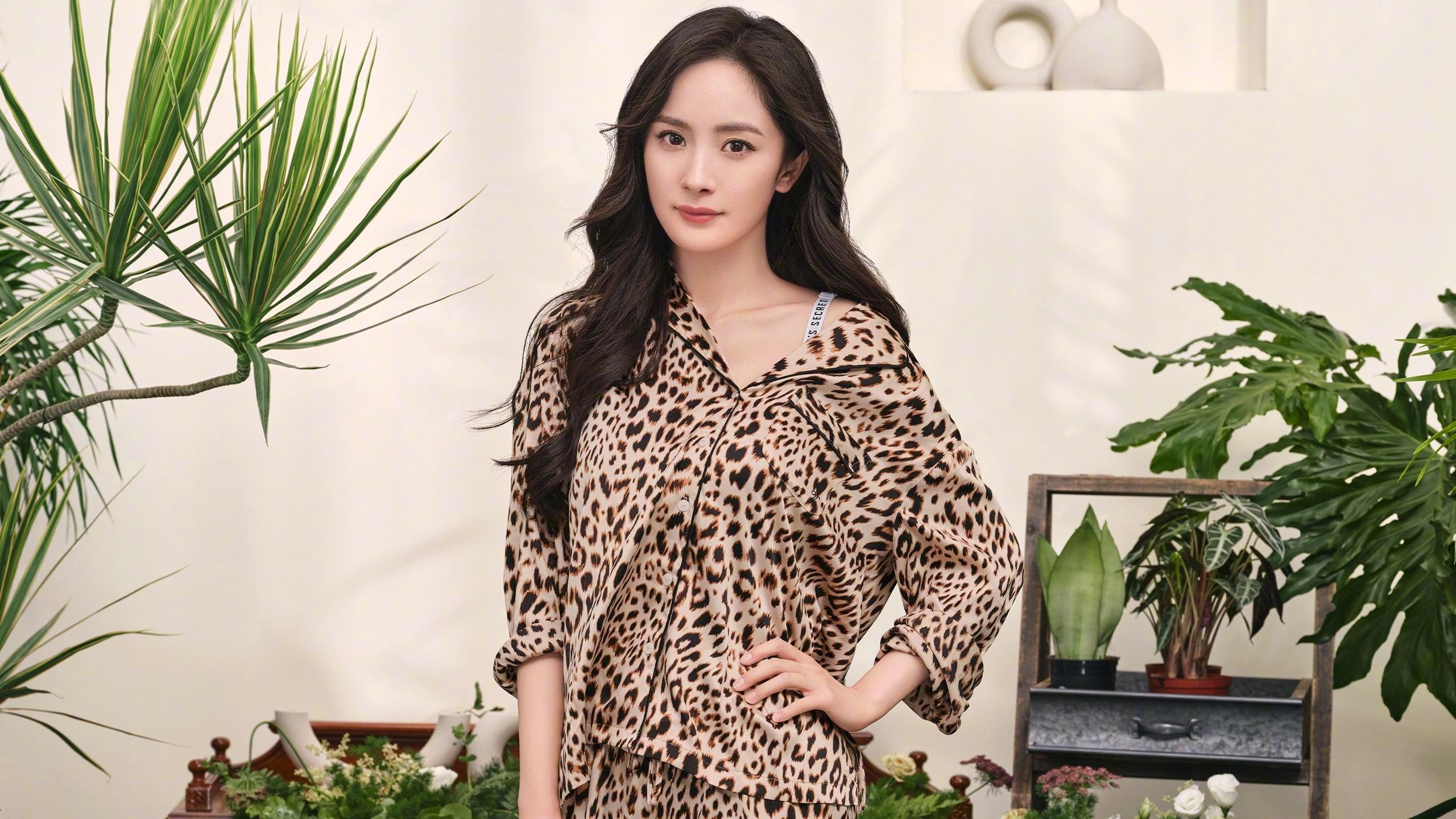 梦幻对决！广厦铁血一波流席卷独行侠，伦纳德末节19分诠释何为定海神针