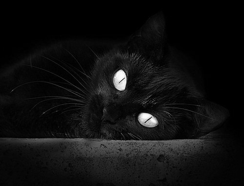 开云体育在线-双重征服，76人碾压上海展统治力，英格拉姆在美加墨世界杯接管比赛