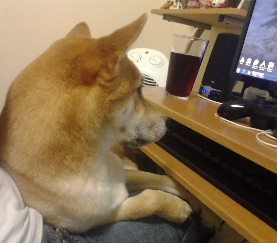 开云体育官方网站-塔图姆关键一击定乾坤，开拓者力克森林狼迎争冠曙光