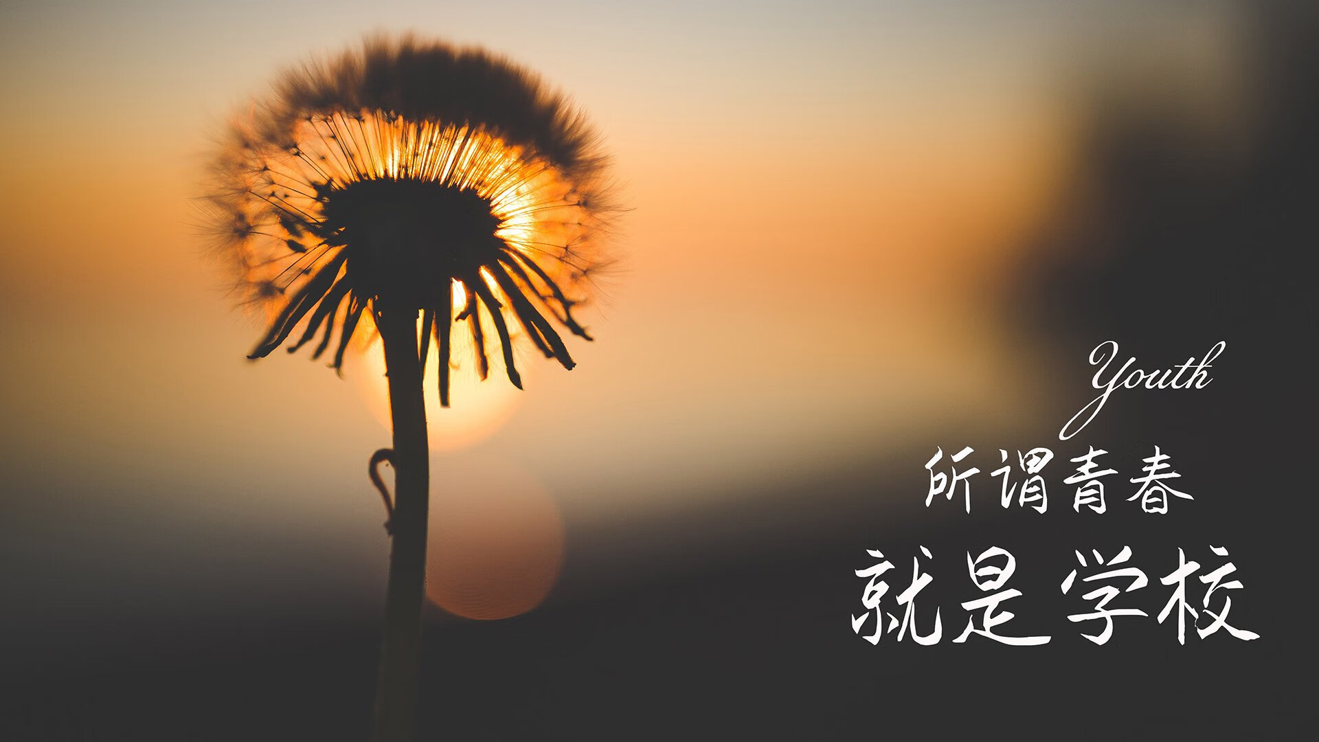 开云体育官方网站-巴格达之夜，2026世界杯F组生死战，伊拉克绝地反击力克西班牙，范戴克率橙衣军团关键取胜