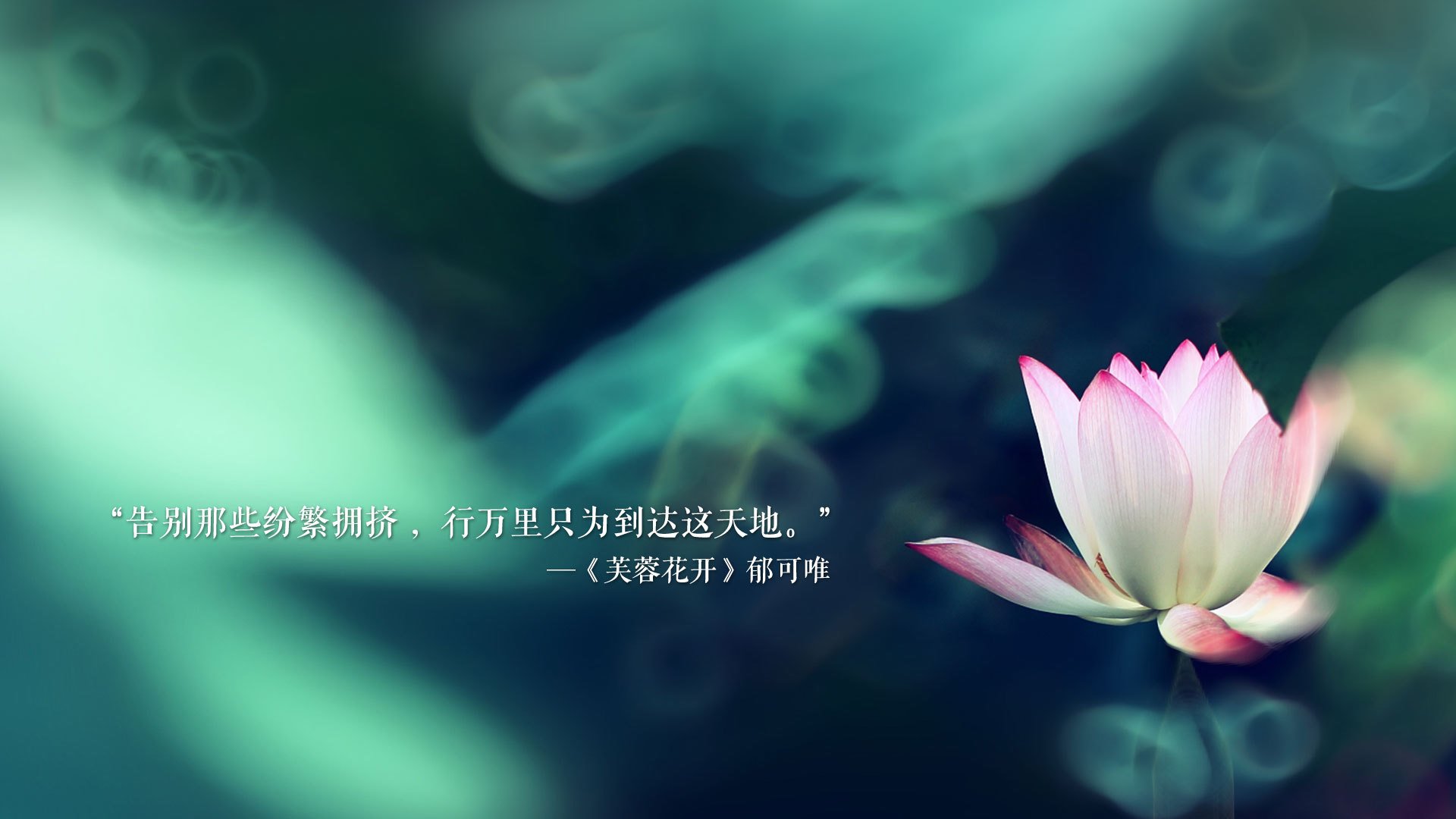 开云体育官网-红色风暴席卷球场，比利时横扫突尼斯，维尼修斯致命一击定乾坤